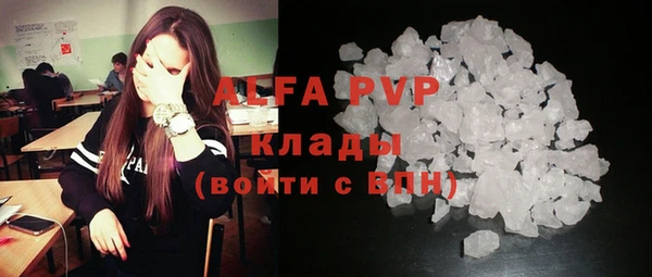 эйфоретик Гусев