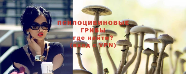 эйфоретик Гусев