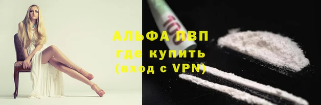 эйфоретик Гусев