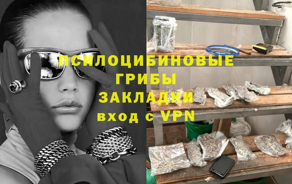 эйфоретик Гусев
