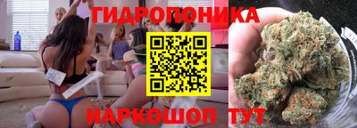spice Гусиноозёрск