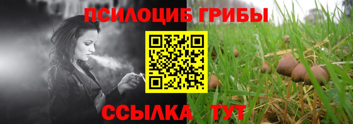 Псилоцибиновые грибы ЛСД Можайск